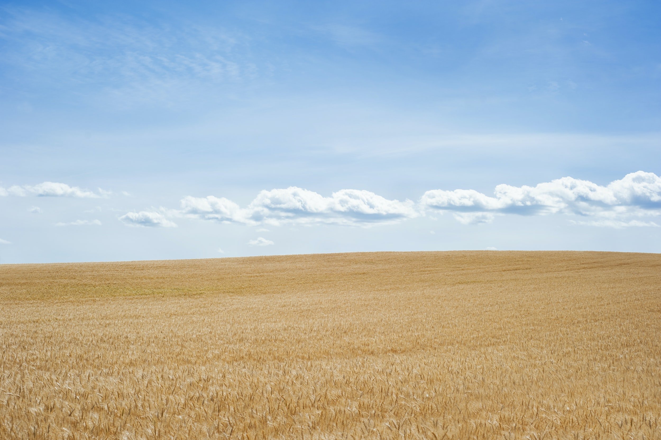 Introduction To The National Land Information Management System