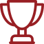 Feature icon